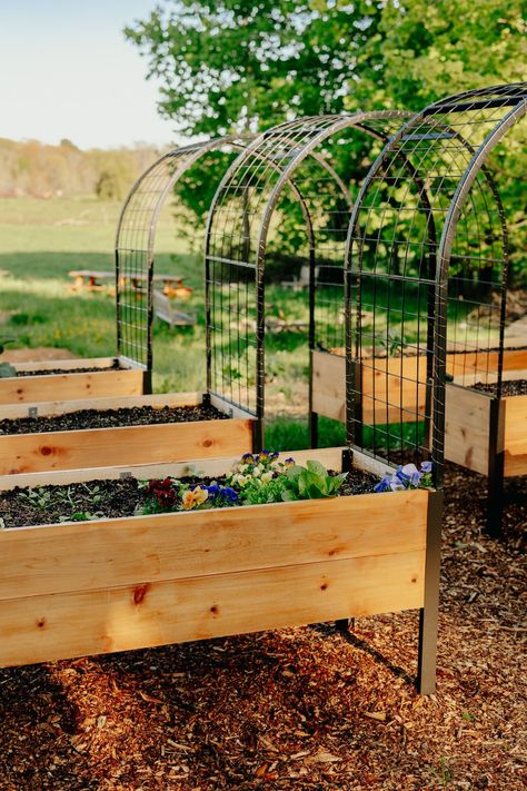 Why You Need Gardener's Supply Co.'s Raised Beds for Your Garden [Review] Cattle Panel Trellis, Metal Garden Arch, Elevated Garden, Elevated Planter Box, Garden Arch Trellis, Elevated Gardening, Arch Trellis, Metal Raised Garden Beds, Love Garden