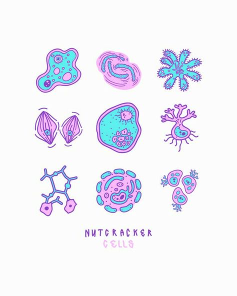 Microbiology Illustration, Cells Illustration, Cell Illustration, Nutcracker Illustration, Cell Drawing, Cells Project, Lab Logo, Science Stickers, Biology Art