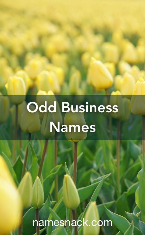 20 unusual and catchy names for your business. Apothecary Name Ideas, Business Name Ideas Catchy, Cute Business Names, Catchy Business Name Ideas, Unique Business Names, Graphic Design Jobs, Unusual Names, Catchy Names, Modern Names