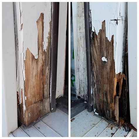 At some point, you're likely to run into some rotted wood outdoors that needs fixing. In our case, it was part of a door into the garage. No problem, let's get started! Scary, right?! What do you do when you see this? Run? Panic? Cover your eyes and keep walking? Now you can fix it!This isn't a complete overhaul redo but rather a minor replace/patch job because sometimes it just isn't in the cards to do a complete overhaul redo.This is the door that leads into our garage from… Diy Exterior, Diy Exterior Door, Replace Exterior Door, Door Frame Repair, Exterior Door Frame, Wood Door Frame, Old Wood Doors, Diy Garage Door, Handyman Projects