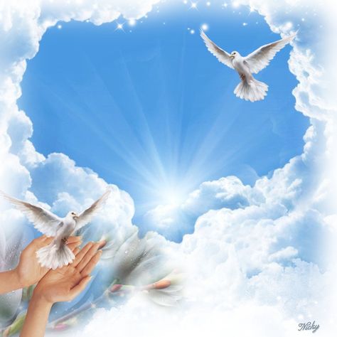 Birthday Wishes In Heaven, Heaven Images, Elvis Presley Images, Obituaries Template, Beautiful Scenery Nature, Birthday Wishes, Cute Wallpapers, Frame, Nature