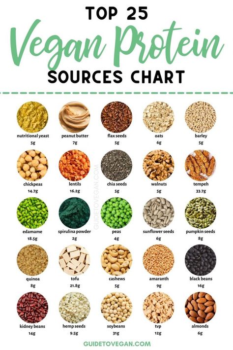 vegan protein sources chart Vegan Protein Sources Chart, Best Vegan Protein Sources, Plant Protein Sources, Plant Based Protein Sources, Vegan Protein Recipes, Best Vegan Protein, Vegan Protein Sources, High Protein Vegan Recipes, Vegetarian Protein