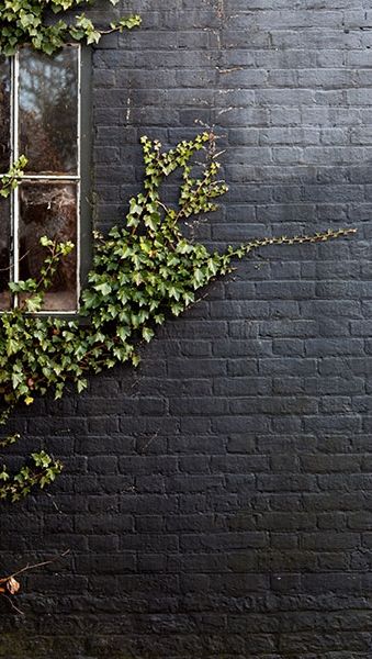 Black paint in a matte finish gives an exterior brick wall a modern update. A creeping vine adds extra character to the irregular wall surface. Mimic the look at home with our pro advice on painting brick. Décor Steampunk, A Brick Wall, Pintura Exterior, Fotografi Digital, Steampunk Decor, Black Brick, Exterior Wall Design, Casa Exterior, Painted Brick