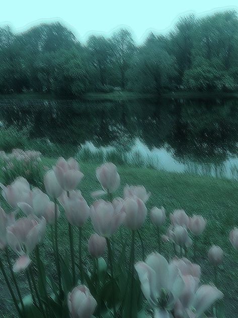 숲 사진, Dark Green Aesthetic, Dark Nature Aesthetic, Nothing But Flowers, Pretty Landscapes, Pink Tulips, Alam Yang Indah, Aesthetic Images, Nature Aesthetic