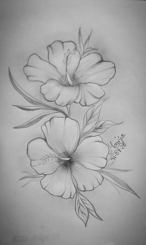 Assalamu Alaikum everyone.. Here I'm new... Hope you like my pencil sketch. It’s my old pencil sketch..plz visit my YouTube channel. Gumamela Drawing, Gumamela Flower Drawing, Pencil Sketches Flowers, Gumamela Tattoo, Gumamela Flower, Flower Sketch Pencil, Sketch It, Hope You, Assalamu Alaikum