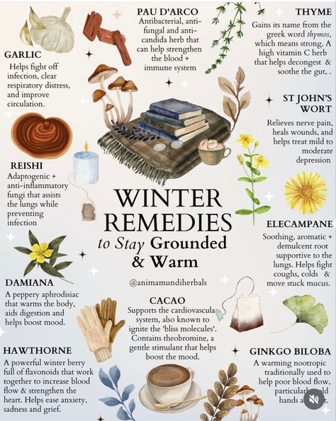 Winter Remedies, Medicinal Herbs Garden, Medical Herbs, Magic Herbs, Herbal Recipes, Herbal Apothecary, Natural Healing Remedies, Herbal Healing, Herbal Magic