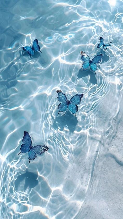 Free download of high-quality iPhone wallpapers dreamy beauty of nature – Bujo Art Shop Photo Papillon, Blue Sky Wallpaper, Beautiful Butterfly Pictures, Blue Butterfly Wallpaper, Cute Summer Wallpapers, Cute Blue Wallpaper, Blue Wallpaper Iphone, Pretty Phone Wallpaper, Blue Butterflies