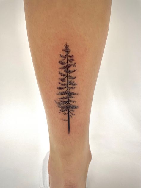 Back of ankle jackpine tree tattoo womans Jackpine Tattoo, Fine Line Redwood Tree Tattoo, Alpine Tree Tattoo, Minimalist Redwood Tree Tattoo, Norfolk Pine Tree Tattoo, Red Wood Tattoo, Norway Pine Tattoo, Western Hemlock Tattoo, Larch Tree Tattoo