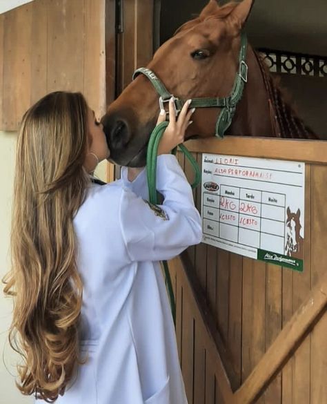 Vet Medicine Aesthetic, Vet Girl Aesthetic, Equine Vet Aesthetic, Veterinary Medicine Aesthetic, Vet Med Aesthetic, Livestock Veterinarian, Vet Student Aesthetic, Veterinary Aesthetic, Veterinarian Aesthetic