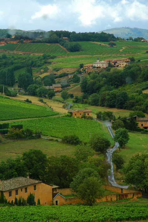 Country Side Of France, Country Side France, French Country Side Aesthetic, Paris Countryside, Countryside France, France Countryside, French Countryside Wedding, French Country Side, France Landscape