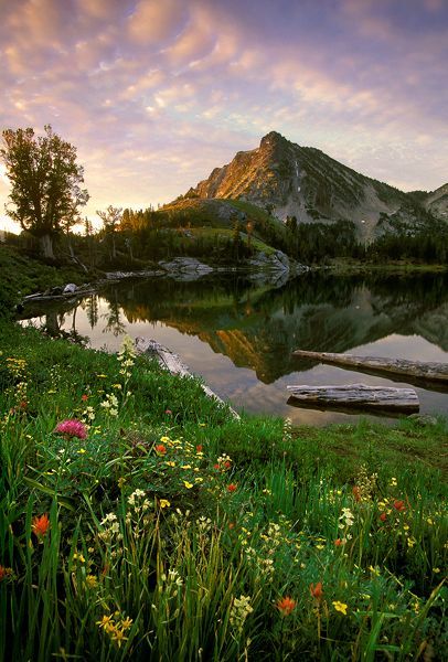 Wallows Mountains, Oregon--Found in the Columbia Plateau in northeastern Oregon, the Wallowa Mountains boast perhaps the most varied and beautiful sights in the whole state. Another of the seven wonders of Oregon, the Wallowas are perhaps best experienced by riding a horse to the summit, but there is also the option of taking a gondola for a spectacular trip from Wallowa Lake Village all the way up to the peak of Mount Howard. Nearby towns Joseph and Enterprise are worth exploring too, with hand Lake Village, Beautiful Sights, Mountain Lake, Still Water, Beautiful Places To Visit, Pretty Places, Most Beautiful Places, Land Scape, Beautiful World