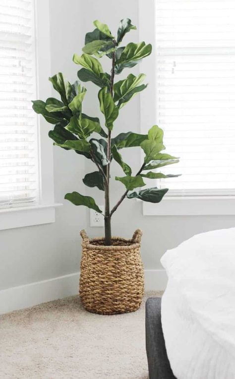 Fiddle Tree, Fiddle Leaf Tree, Fake Plants Decor, Fiddle Leaf Fig Tree, Faux Tree, Plant Decor Indoor, Bedroom Plants, Fiddle Leaf, House Plants Decor