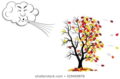 vector illustration of a cartoon cloud that blows wind to a tree who loses fall foliage Wind Illustration, Cartoon Clouds, Weather Seasons, Illustration Cartoon, Children Images, Creative Drawing, Forest Animals, A Cartoon, Fall Foliage