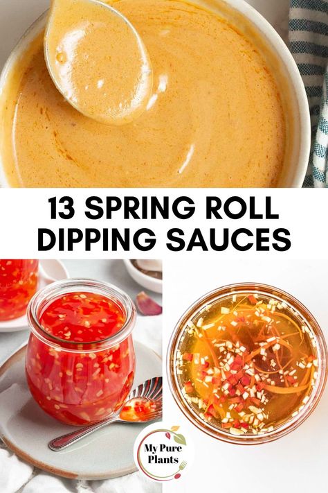 Healthy Egg Roll Sauce, Spring Roll Dipping Sauce Recipe, Spring Roll Dumplings, Spring Roll Board, Summer Rolls Sauce Recipe, Spring Roll Dipping Sauce Gluten Free, Fresh Spring Rolls Sauce, Different Spring Roll Recipes, Spring Roll Filling Recipes