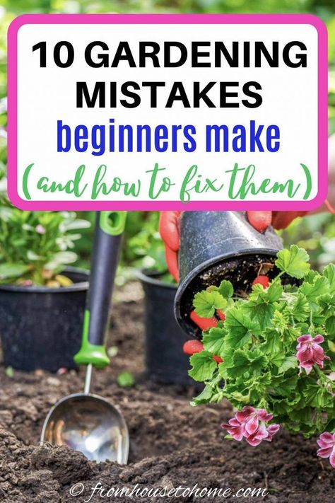 Learn which landscaping mistakes to avoid. Whether you're a beginning gardener or a seasoned pro, these tips for preventing gardening mistakes will help you create your best garden ever. #fromhousetohome #gardeningtips #gardening #gardenlandscaping #gardeningforbeginners #springinspiration* Garden Diy Decoration Ideas, Garden Diy Hacks, Easy Gardening Hacks, Diy Garden Decoration Ideas, Easy Backyard Diy, Gardening Tips For Beginners, Garden Art Sculptures Diy, Easy Backyard, Gardening Advice