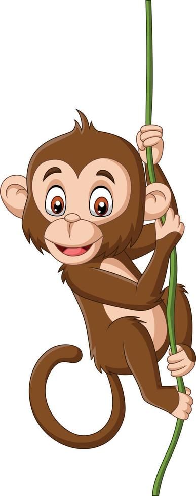 Monkeys Hanging From Trees, Monkey On Tree Drawing, Hanging Monkey Drawing, Monkey Drawing For Kids, Monkey Cartoon Drawing, Monkey Hanging From Tree, Monkey Drawing Cute, Cute Monkey Drawing, Monkey On Tree