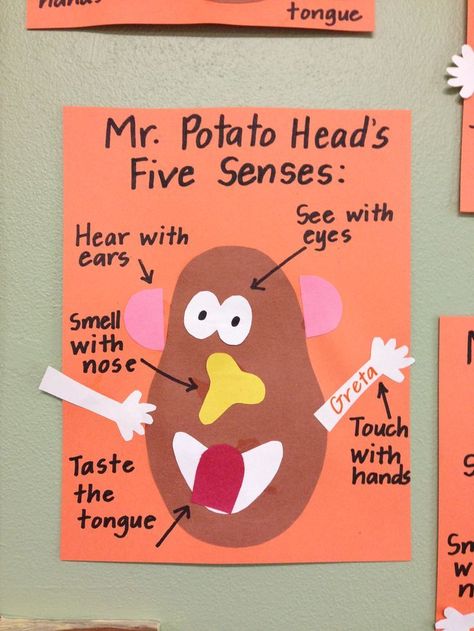 5 Senses Craft, 5 Senses Preschool, Five Senses Preschool, Senses Preschool, My Five Senses, Senses Activities, All About Me Preschool, Preschool Projects, Mr Potato