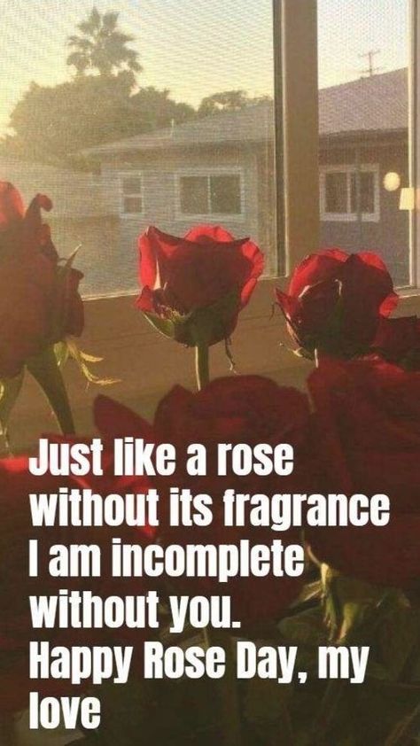 Rose Day Quotes for Husband Wife Rose Day Quotes For Him, Quotes For Him Aesthetic, Rose Day Special, Lines For Husband, Rose Love Quotes, Rose Day Pic, Rose Day Quotes, Valentines Quotes For Him, Happy Valentines Day Quotes For Him