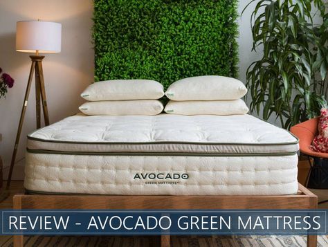 Avocado Mattress, Cozy Bedroom Colors, Green Headboard, Boys Bedroom Paint, Green Mattress, Protect Our Planet, Mattresses Reviews, Smitten Kitchen, Hells Kitchen