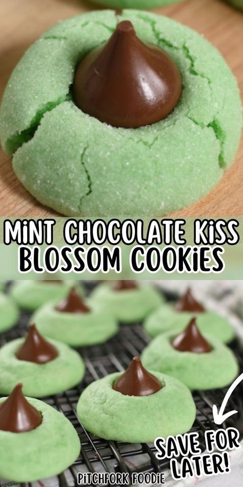 Mint chocolate kiss blossom cookies are the sweet treat you have been looking for! They're puffy, minty, and green, making them the perfect holiday dessert or gift. Save this scrumptious blossom cookie recipe and make your St. Patrick's Day celebrations even more magical! Mint Kiss Cookies, Kiss Blossom Cookies, St Patricks Food, Mint Desserts, Blossom Cookies, St Patricks Day Food, Christmas Baking Recipes, Kiss Cookies, Holiday Dessert