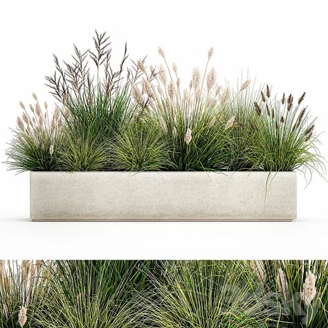 Download Link: https://3ds-max.org/plant/plants/collection-of-plants-in-a-pot-with-pampas-grass-reeds-flowerbed-bushes-landscaping-set-1076-3d-model-free-download/ Bushes Landscaping, Casa Malaparte, Tropical Garden Design, Potted Plants Outdoor, Dry Garden, Grasses Landscaping, Architecture Collage, Tree Png, Rain Garden