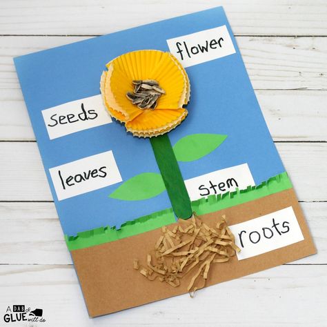 Parts Of A Flower Craft, Plants Kindergarten, Prek Crafts, Planting For Kids, Plant Activities, Plant Crafts, Science Crafts, Spring Preschool, Parts Of A Flower