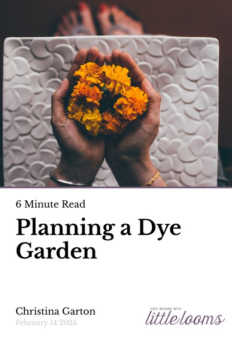 Dye Garden Ideas, Natural Dye Garden, Dye Garden, Rigid Heddle Weaving Patterns, Southern New Mexico, Rigid Heddle Weaving, Heddle Loom, Floral Printing, Knitting Blogs