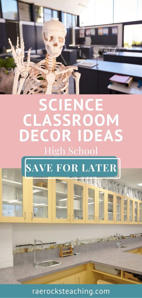 Decorate Science Classroom, Biology Classroom Decorations Ideas, Science Lab Setup, Middle School Science Room Decor Classroom Ideas, Science Displays Secondary, Science Murals Classroom, High School Science Room Decor Classroom Ideas, Decorating Science Classroom, High School Science Room