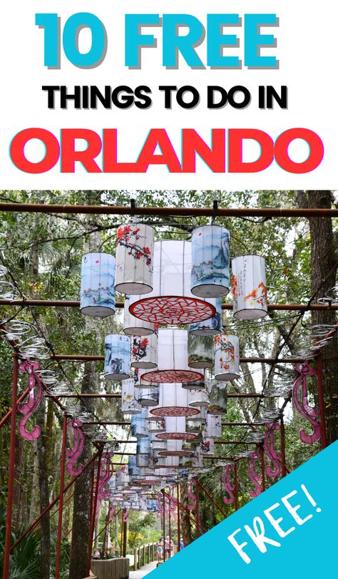 10 Free Things to do in Orlando, Florida - Things To Do In Orlando Beaches Near Orlando, Things To Do Orlando, Orlando Florida Vacation, Things To Do In Orlando, Orlando Trip, Walt Disney World Orlando, Lake Eola, Visit Orlando, Orlando Travel