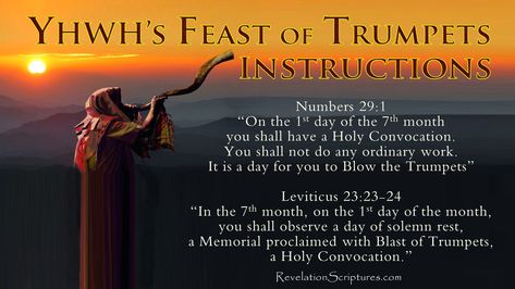 Day Of Trumpets, Feasts Of Trumpets, Feast Of Trumpets, Biblical Holidays, Seven Trumpets, Church Calendar, Leviticus 23, Biblical Feasts, Bible References