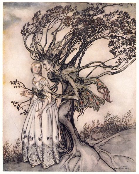 Brothers Grimm Fairy Tales, 동화 삽화, Rice Paper Decoupage, Arthur Rackham, Brothers Grimm, Art Tumblr, Grimm Fairy Tales, Fairytale Illustration, Old Woman