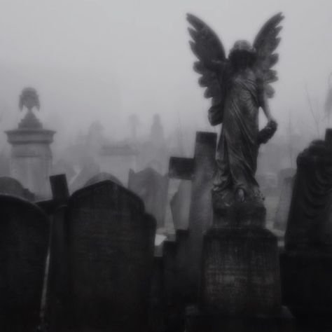 Lola Core, Madison Core, Cemetery Angels, The Undertaker, Angel Statue, Art Gcse, Cemetery Art, 다크 판타지, Southern Gothic