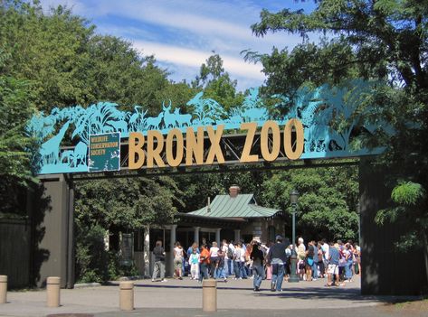 Visit the Bronx Zoo in New York - the world's largest urban zoo and get up close to more than 600 species from around the globe! Kota New York, Gros Morne, Zoo Photos, The Bronx New York, Bronx Zoo, Battery Park, Virtual Field Trips, I Love Nyc, The Cloisters