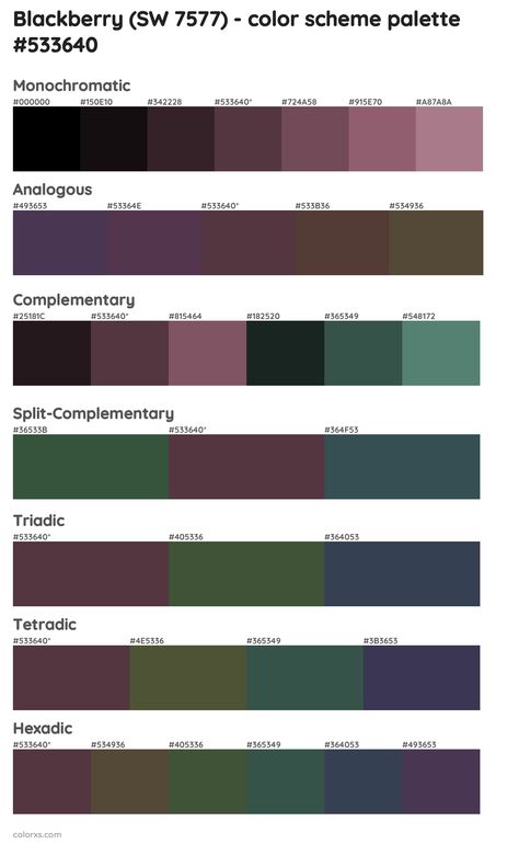 Eggplant Complimentary Colors, Plum Complementary Color, Sw Blackberry Paint, Blackberry Palette, Blackberry Paint Color, Blackberry Sherwin Williams, Plum Outfit Ideas Color Combos, Blackberry Color Palette, Eggplant Palette