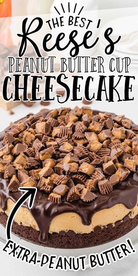 Reese's Peanut Butter Cheesecake, Reeses Cheesecake, Peanut Butter Cheesecake Recipes, Cup Cheesecake, Peanut Butter Cup Cheesecake, Reese's Peanut Butter Cup, Chocolate And Peanut Butter, Diet Smoothie Recipes, Lost 100 Pounds