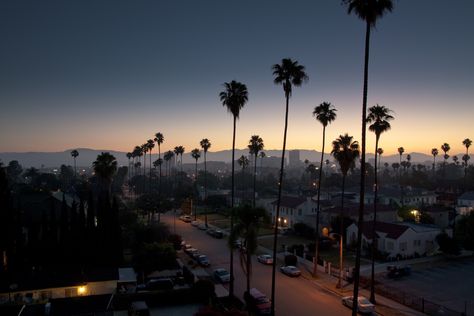 10 Top Los Angeles Hd Wallpaper FULL HD 1080p For PC Desktop Wallpaper For Windows, Los Angeles Wallpaper, Palm Trees Wallpaper, Wallpapers Ipad, Laptop Wallpaper Desktop Wallpapers, Background Hd Wallpaper, Most Beautiful Wallpaper, Macbook Wallpaper, Aesthetic Desktop Wallpaper