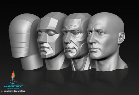 Artist's Referencing .Anatomy — anatoref: Planes of the Face Row 1 Row 2...