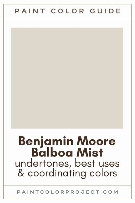 Looking for the perfect gray paint color for your home? Let’s talk about Benjamin Moore Balboa Mist and if it might be right for your home! Organic Paint Colors, Balboa Mist Benjamin Moore, Benjamin Moore Abalone, Mist Paint Color, Perfect Gray Paint Color, Benjamin Moore Bathroom Colors, Best Ceiling Paint, Benjamin Moore Balboa Mist, Perfect Grey Paint Color