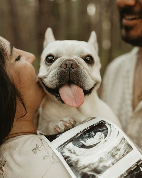 When my clients told me they brought their dog with them I was so excited 🥹! Love including your dogs in your sessions! 🥰 #dogphotography #dogphotoshoot #announcement #pregnancyannouncement #maternityphotography #tampaphotographer #flphotographer #stpetephotographer #gpresets #authenticlovemag #unscriptedposingapp #creativephotography #photographyideas #dogsofinstagram #pregnancyphotoshoot Dog Maternity Shoot Ideas, Maternity Photo Shoot Ideas Dog, Pregnant Photoshoot With Dog, Maternity Photography Poses With Dogs, Pregnancy Announcement Photoshoot With Dog, Maternity Photography Ideas With Dog, Fall Pregnancy Announcement With Dog, Maternity Pics With Dog, Pregnant Announcement Photoshoot