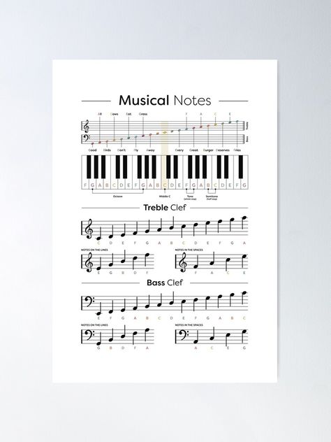 "Music Notes Cheat Sheet - Music Theory Poster" Poster by pennyandhorse | Redbubble Music Cheat Sheet, Music Themed, Piano Sheet, Poster Poster, Music Theory, Music Gifts, Music Education, Cheat Sheet, Design Collection