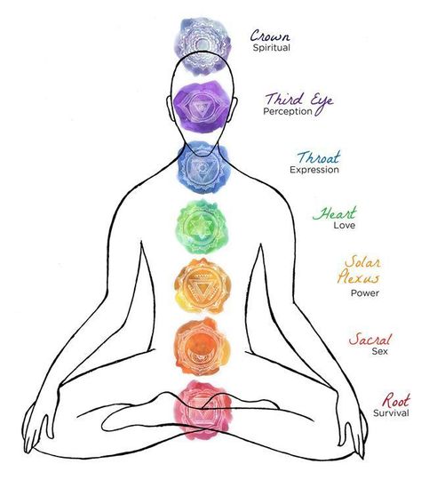 Chakra Meditation Guided, Chakra Chart, Chakra Health, The Seven Chakras, Body Diagram, Body Template, Chakra Art, Chakra Affirmations, Chakra System