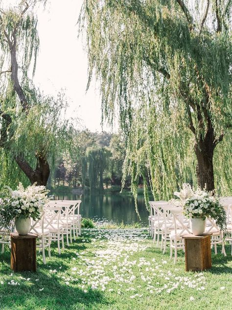 Wedding Ceremony Ideas, Tree Wedding Ceremony, Willow Tree Wedding, Dream Wedding Venues, Garden Wedding Decorations, Future Wedding Plans, Outdoor Wedding Decorations, Tree Wedding, Outdoor Wedding Ceremony