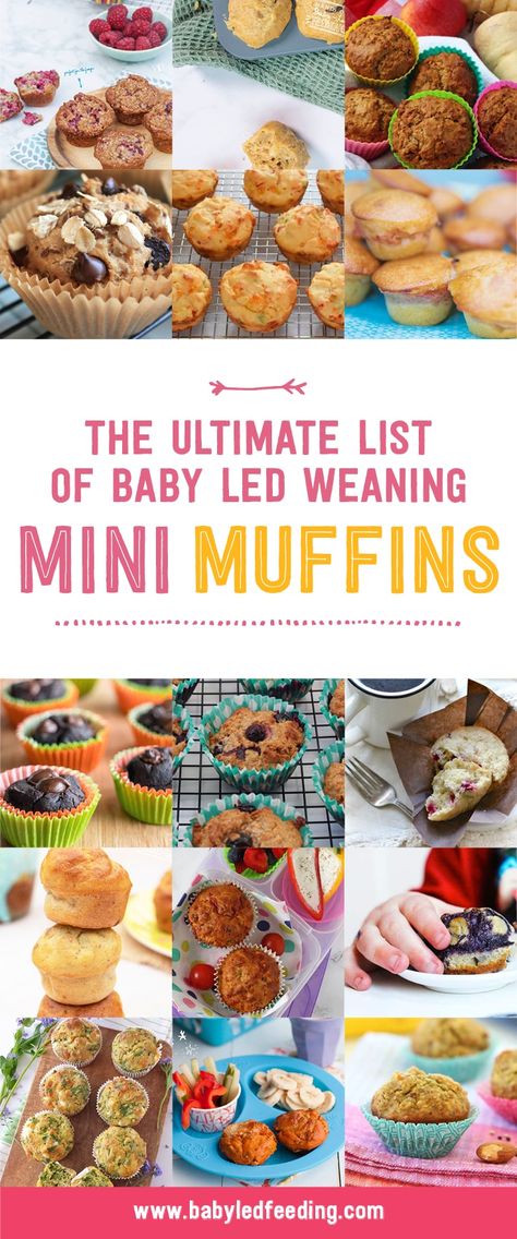 Mini Muffins Recipes for Baby Led Weaning - Baby Led Feeding Freezer Mini Muffins, Baby Food Muffins Recipes, Hide Veggies In Food Picky Eaters, Baby Veggie Muffins, Baby Led Feeding Recipes, Mini Muffins For Babies, Baby Mini Muffin Recipes, Freezer Friendly Blw Recipes, Baby Mini Muffins