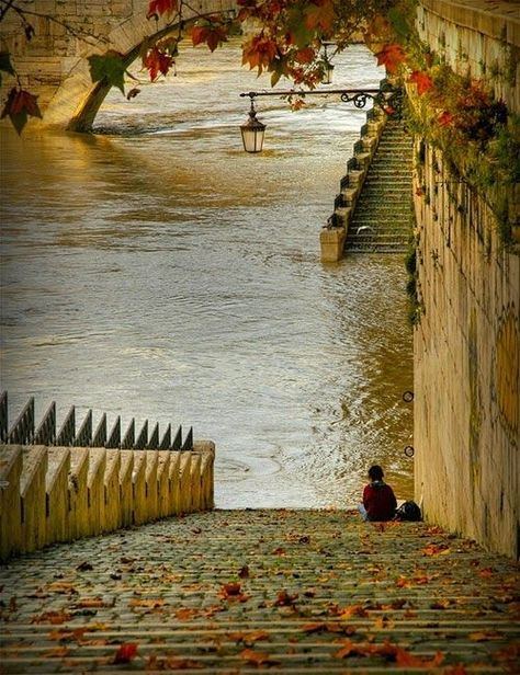 Bank of River Seine, Paris  water outdoors nature trees steps Foto Scale, River Seine, Paris Chic, Paris Photo, Paris Photos, Taos, Paris Travel, France Travel, Oh The Places Youll Go