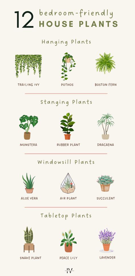 Looking for bedroom plants decor ideas and inspiration? Improve air quality, diffuse toxins, and release oxygen with these 12 bedroom-friendly house plants! Discover plant ideas for bedrooms and how to style them on the blog!  Please note: Check the individual suitability of these plants with pets or children, as some of them may be toxic if placed within reach. Bedrooms With Hanging Plants, Natural Plant Bedroom Ideas, Best Plants For Apartments, Live Plants In Bedroom, Plants For Room Decor, Plant Bedroom Inspirations, Bedroom Decoration With Plants, Room Decor With Plants Bedrooms, Bedroom Ideas For Small Rooms Plants