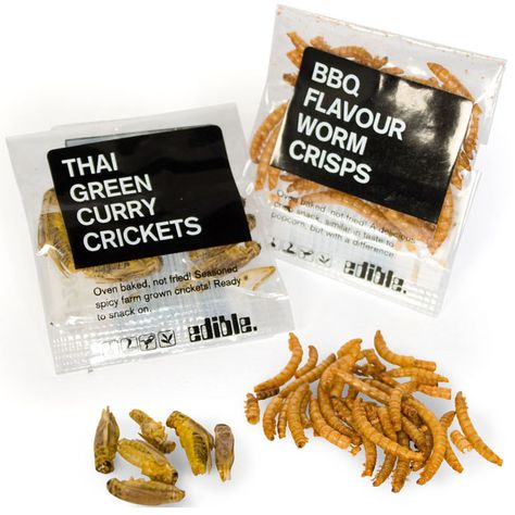 Insect Snacks - if they're not for you they could make a great secret santa gift. Now lets all pretend we're celebs in the jungle?! Insect Snacks, Insect Farming, Cricket Farming, Bug Food, Gummy Worm, Edible Insects, Lenten Recipes, Meal Worms, Whats For Lunch