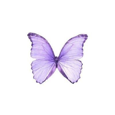 Backgrounds Purple, Purple Tattoos, Purple Animals, Ara Ara, Rainbow Butterfly, Butterfly Kisses, Purple Love, Png Icons, All Things Purple