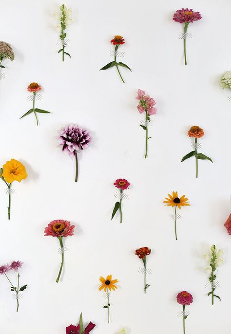 DIY Floral Wall Backdrop - The Merrythought Diy Floral Wall, Floral Wall Backdrop, Diy Wall Tile, Flower Wall Hanging Decor, Room Hanging Decor, Diy Paper Wall Hanging, Diy Flower Wall, Wall Hanging Ideas, Backdrop Diy