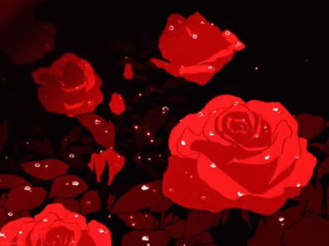 Red Roses, The Story, Books Wattpad, Roses, Wattpad, Gif, Water, Books, Red