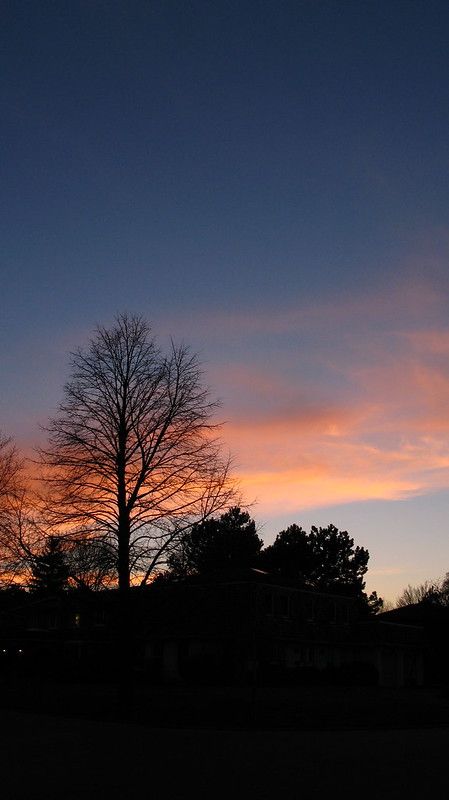 Evening Sky | tikyon | Flickr Evening Sunset, Sky Pictures, Sky Photos, Evening Sky, Sunset Wallpaper, Pretty Sky, Sky Art, Aesthetic Pastel Wallpaper, Beautiful Nature Wallpaper